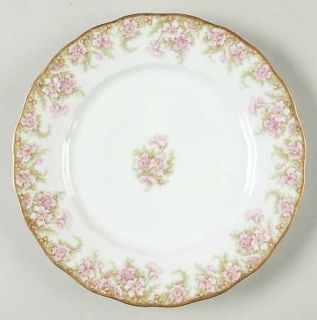 Bawo & Dotter Bwd48 Luncheon Plate, Fine China Dinnerware   Pink Flowers, Green