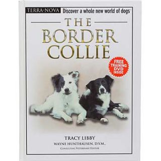 The Border Collie Discover a Whole New World of Dogs