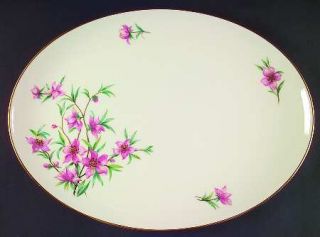Lenox China Peachtree 17 Oval Serving Platter, Fine China Dinnerware   Pink Flo