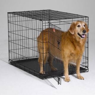 Midwest iCrate Folding Single Door Dog Crate Multicolor   1522, X Small 22L x