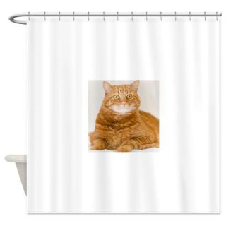  Orange Cat Shower Curtain  Use code FREECART at Checkout