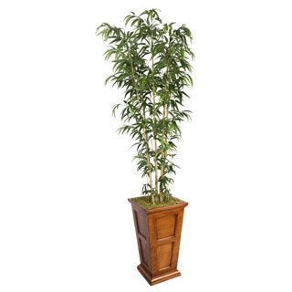 Laura Ashley 91 inch Tall Natural Bamboo Tree In Fiberstone Planter