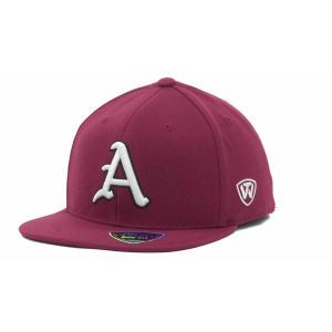 Arkansas Razorbacks Top of the World NCAA Slam One Fit Cap