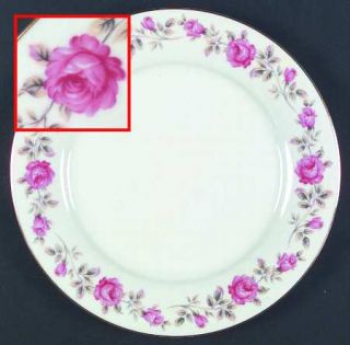 Noritake N1419 Dinner Plate, Fine China Dinnerware   Rc Stamp,Pink Roses,Taupe L