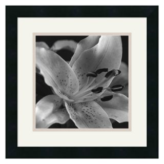 J and S Framing LLC Speckled Lily Framed Wall Art   15.88W x 15.88H in.