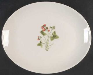 Peter Terris Wild Strawberry 11 Oval Serving Platter, Fine China Dinnerware   S