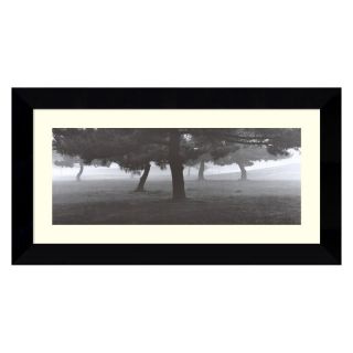 J and S Framing LLC Trees in the Fog Framed Wall Art by Richard Calvo   24.99W