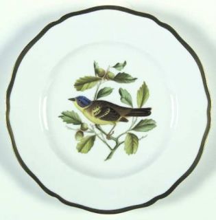 Spode Audubon Birds Salad Plate, Fine China Dinnerware   Bone, Various Bird Cent