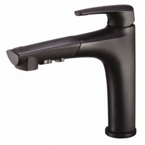 Danze D456710BS Taju  Taju Single Handle Pull Out Spray Kitchen Faucet