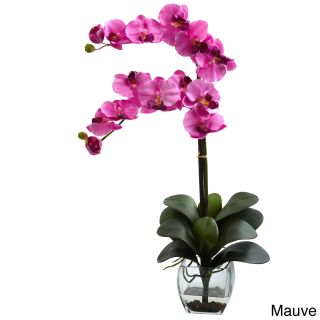 Double Phal Orchid With Vase Arrangement