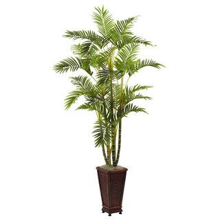 6.5 foot Areca W/decorative Planter