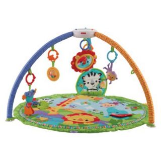 Fisher Price Signature Style Gym