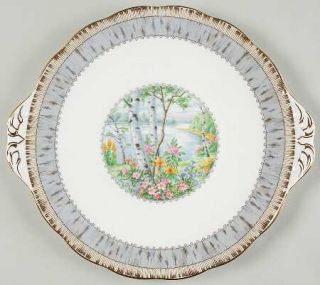 Royal Albert Silver Birch Handled Cake Plate, Fine China Dinnerware   Gray Band/