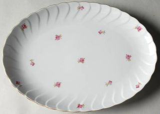 Craftsman (Japan) Park Avenue (Scalloped) 12 Oval Serving Platter, Fine China D