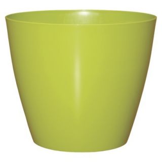 10 Charlevoix Planter  Limelight