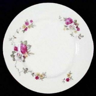 Jaeger Wild Rose Dinner Plate, Fine China Dinnerware   Red,White&Yellow Flowers,
