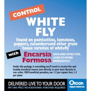 Orcon White Fly Control with Encarsia Formosa Eggs   EF C1000
