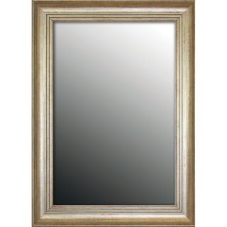 Louis Xiv French Silvertone 28x38 inch Mirror