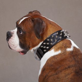 Casual Canine Deluxe Spiked Leather Collar   Black   ZA6017 27 17, 27 in.