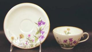 Franconia   Krautheim Meadow Flowers Flat Cup & Saucer Set, Fine China Dinnerwar
