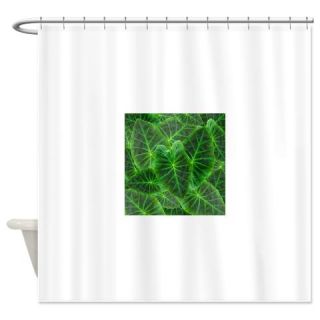  background with colocasia esculenta Shower Curtain  Use code FREECART at Checkout