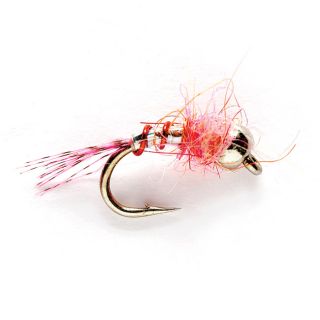 Lightning Bug, Hot Pink, 14