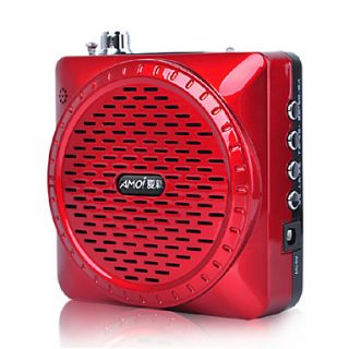 V22 Portable  Player Radio Speaker Support U Flash Disk