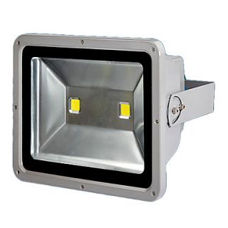 85 260V 100W LED warm white outdoor waterproof flood light