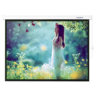 Readleaf Leaves 100 Inch 43 Grey Stock Hd Curtain Electric Projection Screen