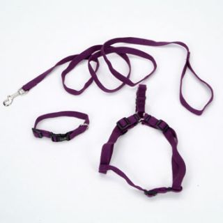 New Earth 3 Piece Soy Dog Leash, Harness and Collar Bundle in Purple, 5/8 Width
