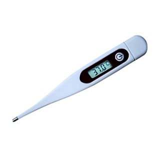 Classic Digital Water proof Thermometer