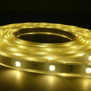 5M Water Proof 5050SMD LED Strip with 150 LEDs