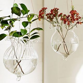 Elegant Hanging Glass Vase
