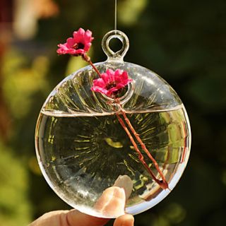 Flat Ball Shaped Hanging Glass Vase