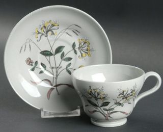 Wedgwood Country Lane Footed Cup & Saucer Set, Fine China Dinnerware   Plain Rim