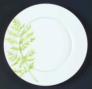 Block China Zen Fern Salad Plate, Fine China Dinnerware   Ferns, Dinner, Salad,