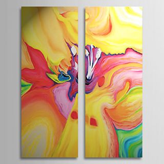 Hand Painted Oil Painting Abstract Secret Life with Stretched Frame Set of 2 1308 AB0729