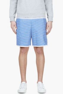 Sacai Blue Striped Deck Shorts