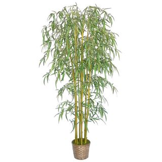 Laura Ashley Realistic Bamboo Tree