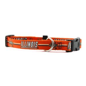 Illinois Fighting Illini Small Dog Collar