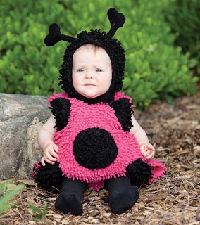 Baby Lady Bug Infant / Toddler Costume