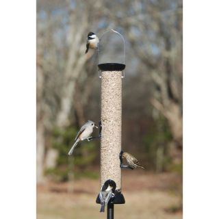 BFG Supply Co Droll Yankee 18 in. Onyx Tube Sunflower Feeder with Remove Base