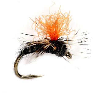 I Can See It Midge Fly, Black, 20