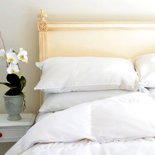 Cozyclouds By Downlinens Basic White Goose Down Comforter