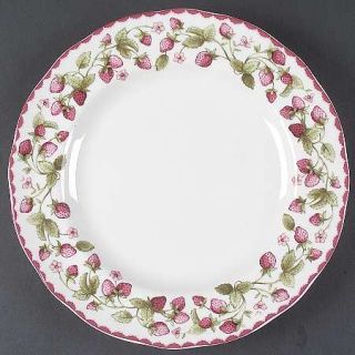 Biltmore for Your Home Harvest Berry Dinner Plate, Fine China Dinnerware   Straw