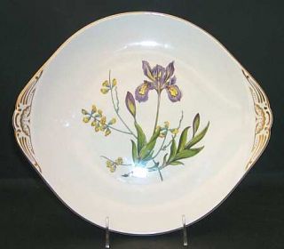 Spode Stafford Flowers (Bone) Handled Cake Plate, Fine China Dinnerware   Bone,V