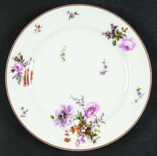 Haviland Schleiger 675 Dinner Plate, Fine China Dinnerware   H&Co,Smooth,Large F