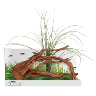 Decor Mopani Wood with 3 Moss Balls