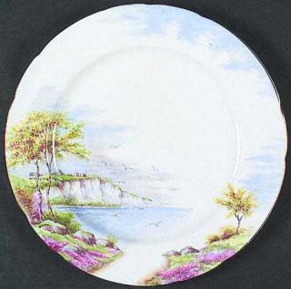 Paragon Cliffs Of Dover Dinner Plate, Fine China Dinnerware   Flowers,Cliffs Ove