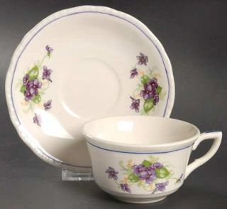 Steubenville Stb15 Flat Cup & Saucer Set, Fine China Dinnerware   Blue Line,Viol